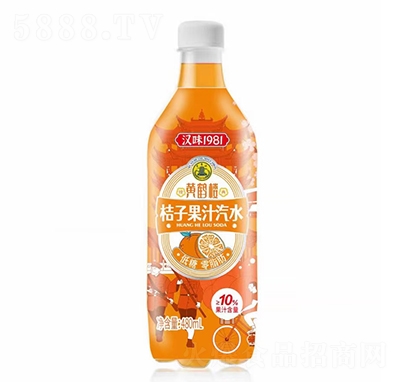 hζ1981SQǽӹ֭ˮ̼480ml