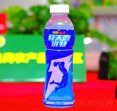 t¹ˮ늽|(zh)ˮLζζ500ml