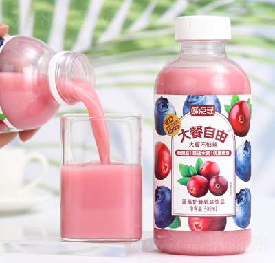 rcӴ{(ln)ݮζƷ500ml