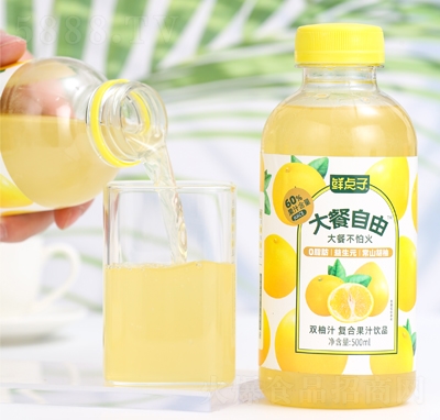 rc(din)Ӵp֭(f)Ϲ֭500ml