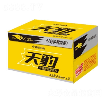 ţ600ml15