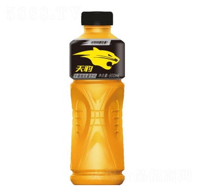 600ml