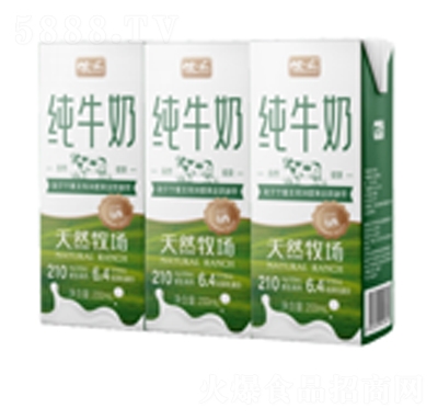 zһcţ200ml