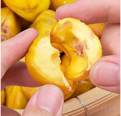 ȱʹTʳƷ