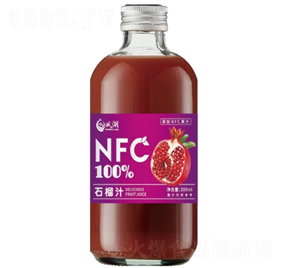 PNFCʯ֭300ml