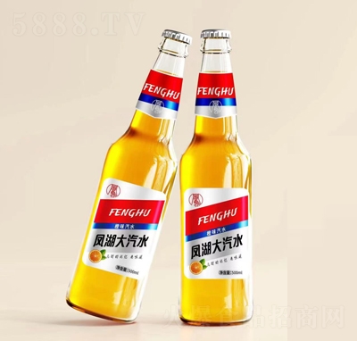 Pζˮ500ml