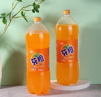 ˮҳȳζˮ̼2L