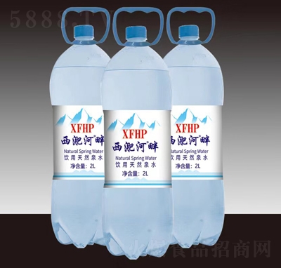 ǺȻȪˮ2L