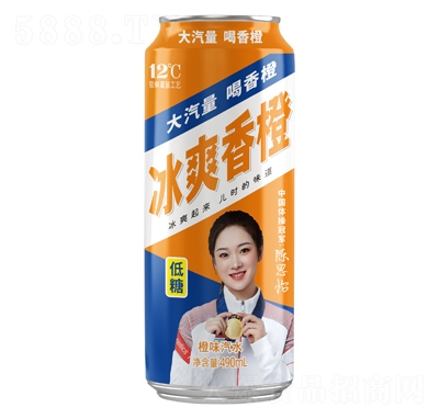 ٘ˬȹζˮ490ml