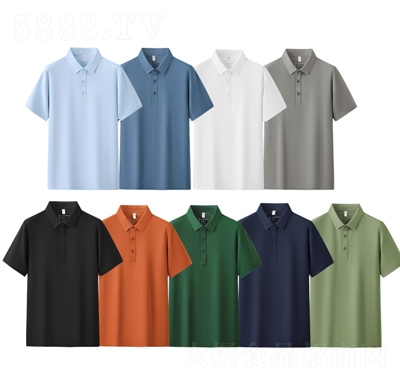 ƿpolo·6100