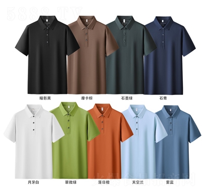 ƿpolo·6200
