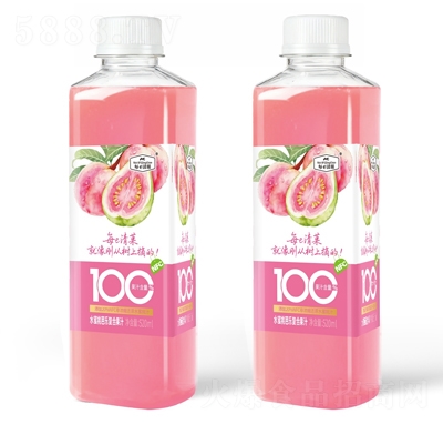 ÿe��Ǒ100%ˮ���ҰŘ���(f��)�Ϲ�֭520ml