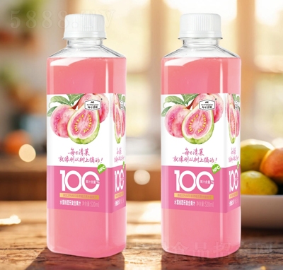 ÿe��Ǒ100%ˮ���ҰŘ���(f��)�Ϲ�֭520ml����