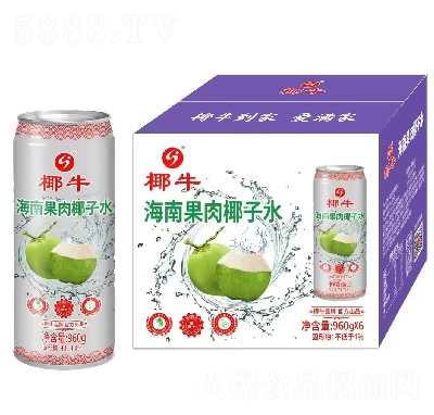 ҬţϹҬˮ960g6