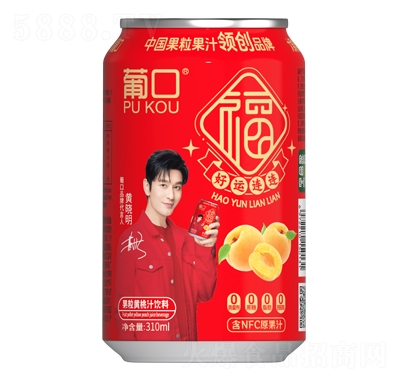 ϿڹS֭310ml