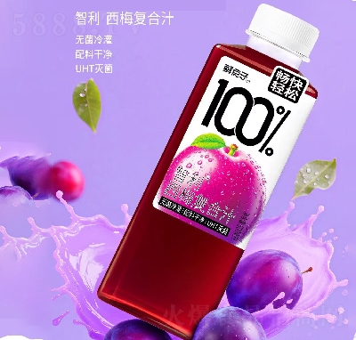 rc(din)Ӵɹ֭÷֭500ml