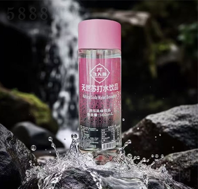 w~(y)ȻKˮƷŘ(l)L(fng)ζ360ml