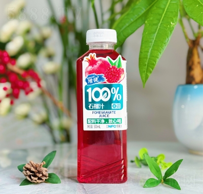 100%ʯ֭500ml