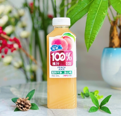 100%֭500ml