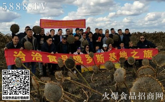 全產(chǎn)業(yè)鏈布局國(guó)際化 全產(chǎn)業(yè)鏈布局國(guó)際化