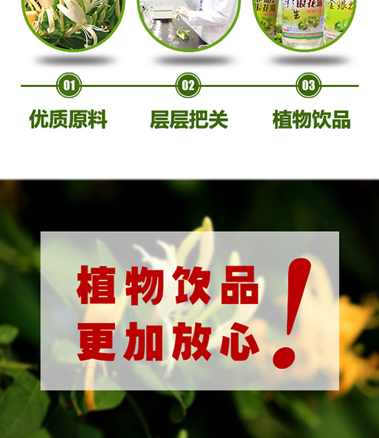 楚神維他命金銀花露 楚神維他命金銀花露