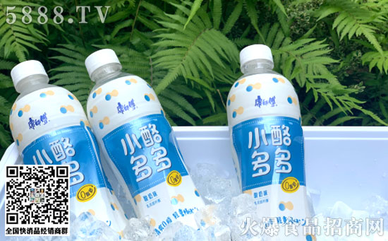 康師傅小酪多多 康師傅小酪多多