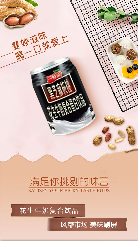 一特樂(lè)黑芝麻核桃復(fù)合蛋白飲料 一特樂(lè)黑芝麻核桃復(fù)合蛋白飲料