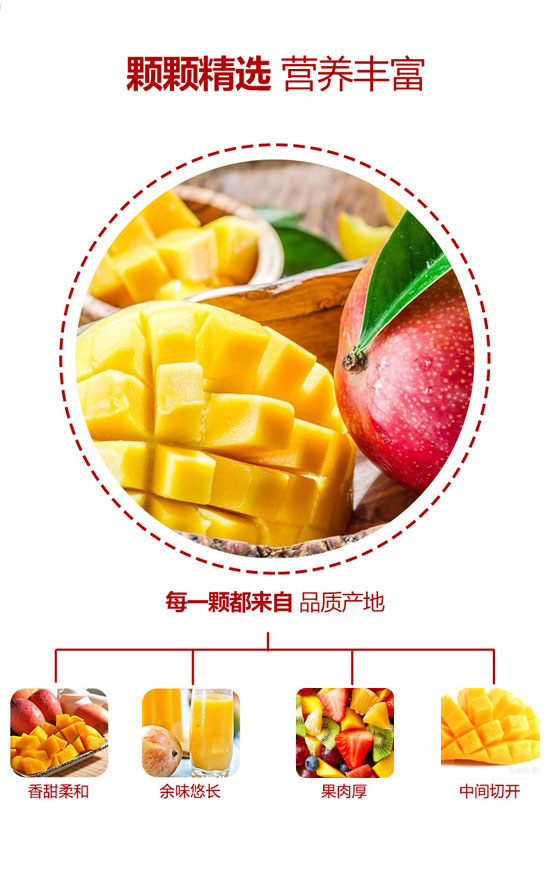 四會(huì)飛凰飲料有限公司-果汁2_03 四會(huì)飛凰飲料有限公司-果汁2_03