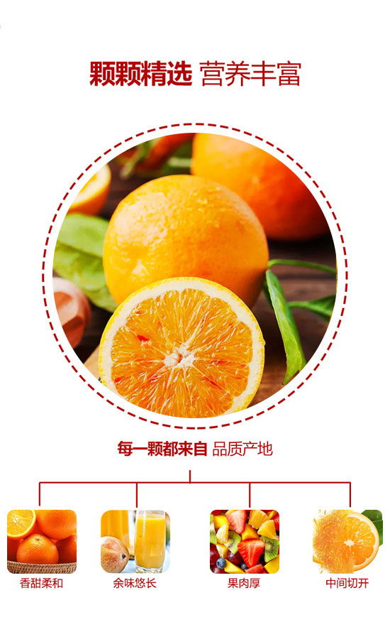 四會(huì)飛凰飲料有限公司-果汁3_03 四會(huì)飛凰飲料有限公司-果汁3_03