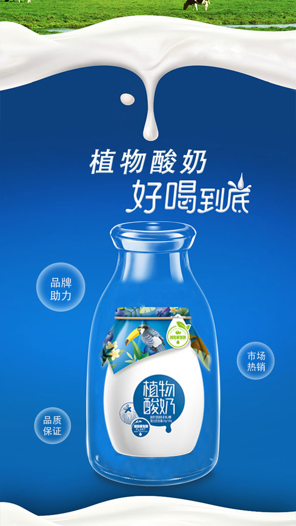 甄養(yǎng)植物酸奶 甄養(yǎng)植物酸奶