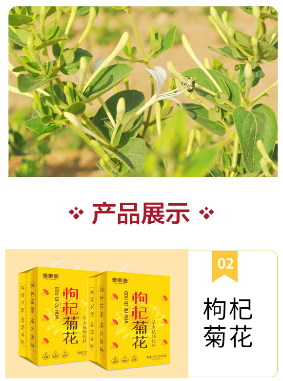 簡(jiǎn)愛菊花_04 簡(jiǎn)愛菊花_04