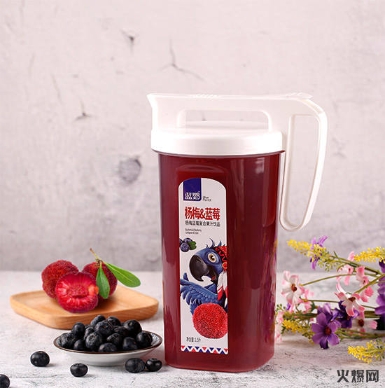 藍(lán)鸚多功能手柄杯果汁 藍(lán)鸚多功能手柄杯果汁