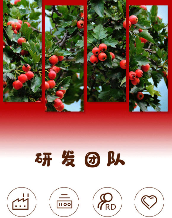 焦作市加力健食品有限公司-山楂果汁_04 焦作市加力健食品有限公司-山楂果汁_04