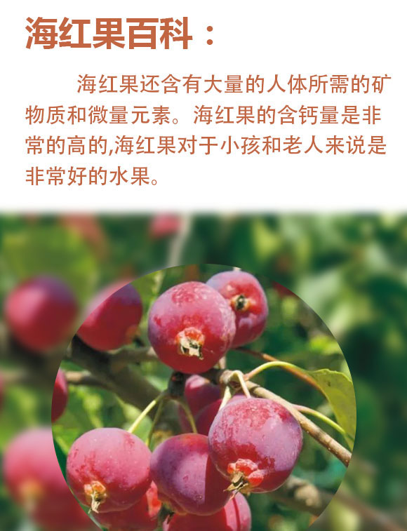 山西海紅樹食品有限公司-藍色易拉罐_02 山西海紅樹食品有限公司-藍色易拉罐_02