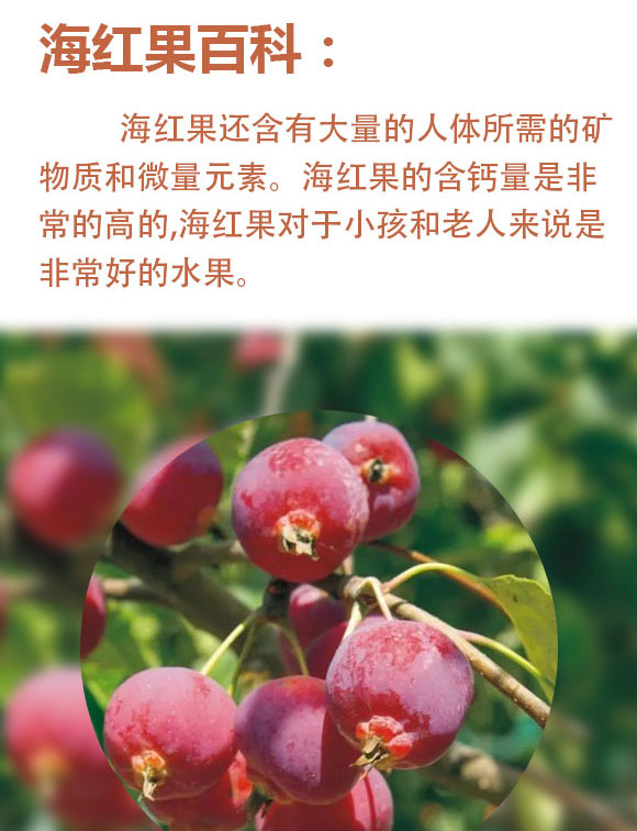 山西海紅樹食品有限公司-藍(lán)色玻璃瓶_02 山西海紅樹食品有限公司-藍(lán)色玻璃瓶_02