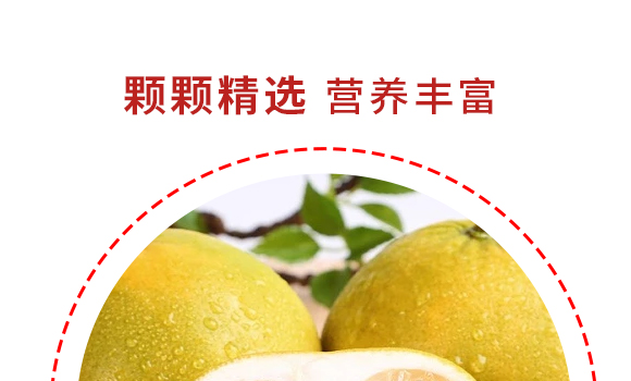 ֮ʳƷϺ޹˾---a(chn)Ʒ(c)p_05