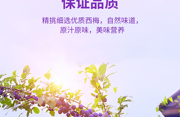 ʽʳƷ(Ϻ)޹˾-a(chn)Ʒ(hu)(c)10-÷_06