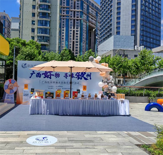 尋味欽州·陳皮香飄滬上。浦北陳皮在上海徐匯區(qū)掀起品鑒熱潮! 尋味欽州·陳皮香飄滬上。浦北陳皮在上海徐匯區(qū)掀起品鑒熱潮!