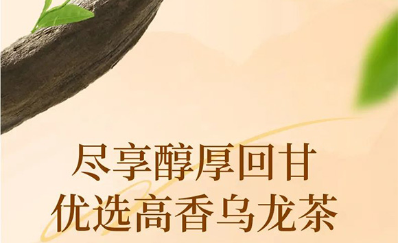 VĽpʳƷƼ޹˾--a(chn)Ʒ_04