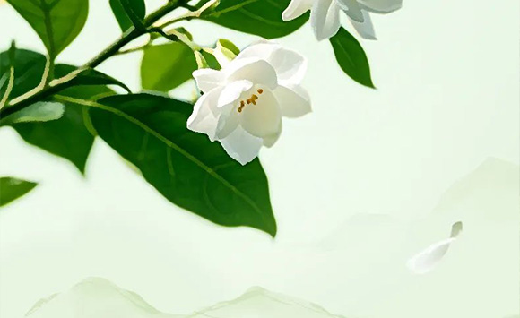VĽpʳƷƼ޹˾--a(chn)Ʒ2_06